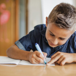 Read-A-Rific®: Writing Sentences – The Smart and Easy Way Program™